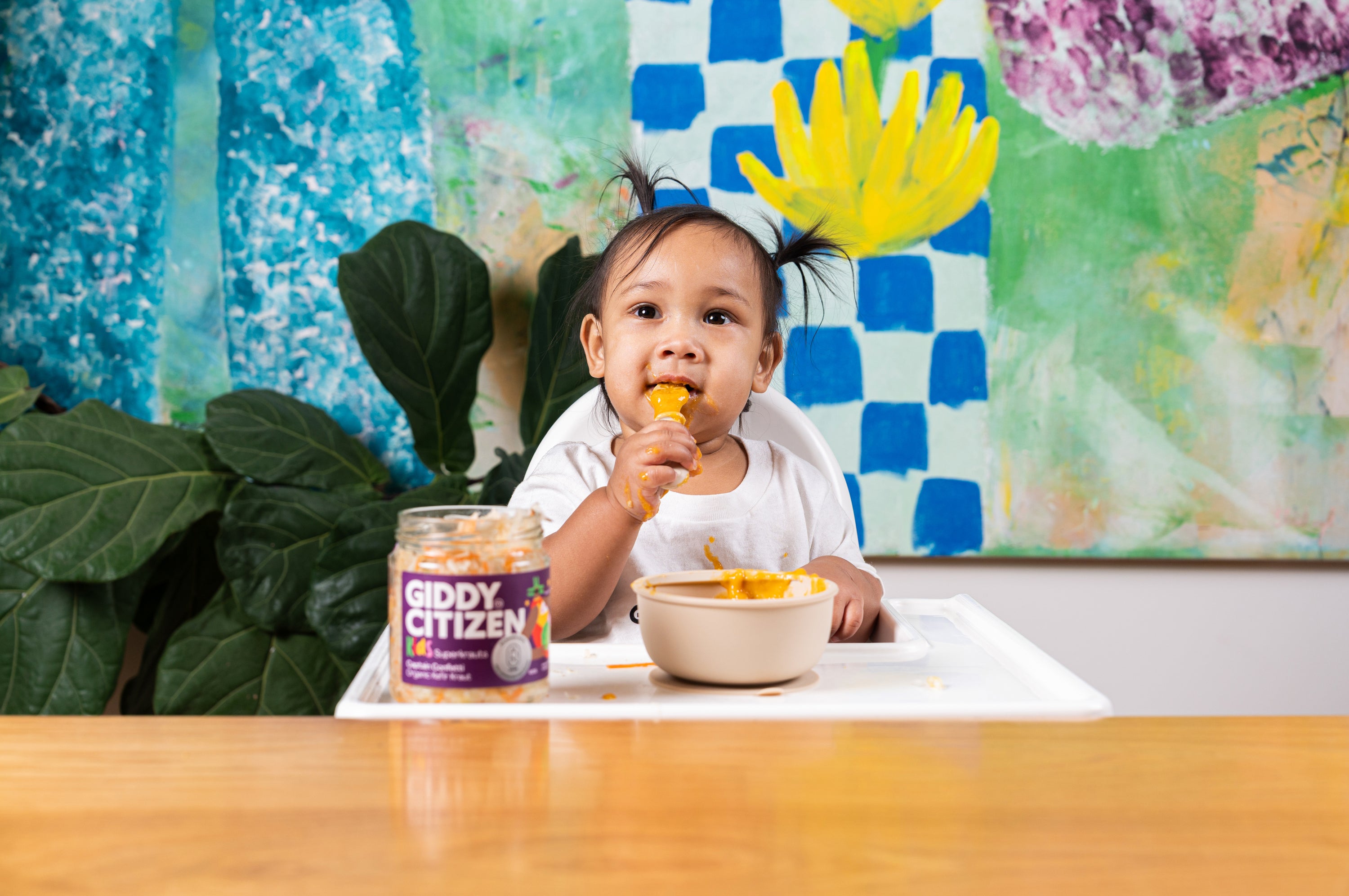 Organic Kefir Kraut - Captain Confetti Kids Superkrauts