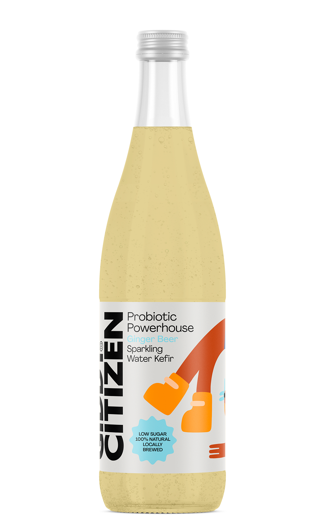 Probiotic Fruit Sodas - Ginger Beer (750ml - 6 Pack)